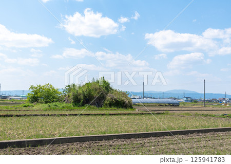 田植え前の水田地帯に佇む旧日本軍の柳本飛行場跡の南側防空壕跡 125941783