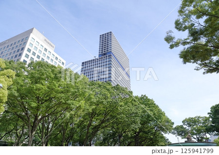 新 中日ビル　都会の公園から（愛知県 名古屋市 中区） 125941799