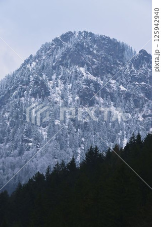Majestic snowy mountain peak rises above dense evergreen forest in winter landscape 125942940