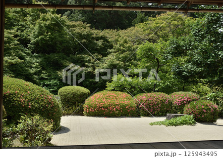 詩仙堂丈山寺 サツキの頃の庭園(京都市左京区) 詩仙堂丈山寺 サツキの頃の庭園(京都市左京区) 125943495