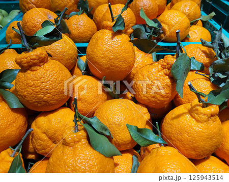 On the store's counter are Decopon tangerines (Reticulata dekopon), a hybrid fruit obtained by crossing the Ponkan mandarin with Kiyomi targor. 125943514