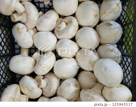 There are fresh white champignons in a box at the market. 125943517