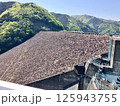 ロックフィルダム 125943755