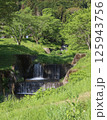 新緑に包まれた公園の情景 125943756
