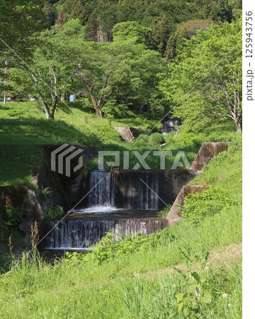 新緑に包まれた公園の情景 125943756