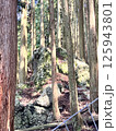 森林の中にある山の登山道 125943801