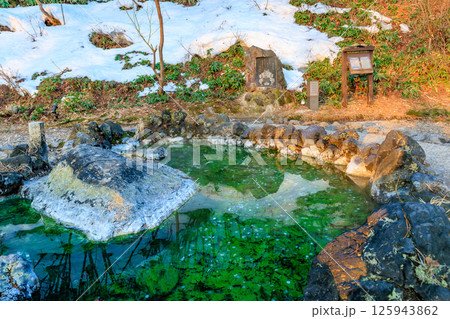 群馬県 吾妻郡草津町 草津温泉 早朝の西の河原公園 群馬県 吾妻郡草津町 草津温泉 早朝の西の河原公園 125943862