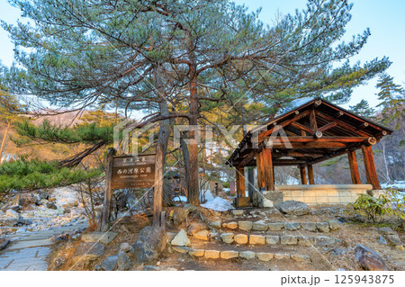 群馬県 吾妻郡草津町 草津温泉 早朝の西の河原公園 群馬県 吾妻郡草津町 草津温泉 早朝の西の河原公園 125943875