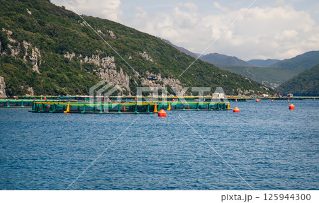 Aquaculture fish farm in natural mountainous setting. Sustainable fishing and seafood production concept Aquaculture fish farm in natural mountainous setting. Sustainable fishing and seafood production concept 125944300
