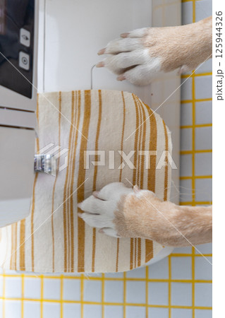 dog sews on a sewing machine with his paws on the machine. 125944326