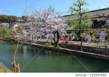 【岡山県】桜咲く春の倉敷美観地区（重要伝統的建造物群保存地区） 125944480