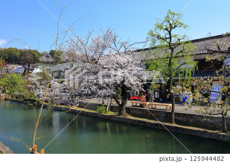 【岡山県】桜咲く春の倉敷美観地区（重要伝統的建造物群保存地区） 125944482