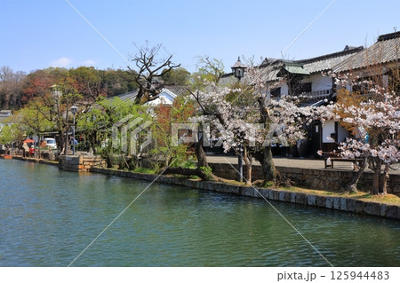 【岡山県】桜咲く春の倉敷美観地区（重要伝統的建造物群保存地区） 125944483