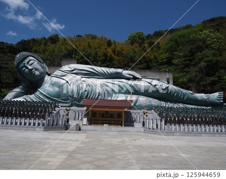 南蔵院の風景 南蔵院の風景 125944659