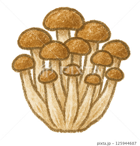 しめじのイラスト｜クレヨン風デザイン 125944687
