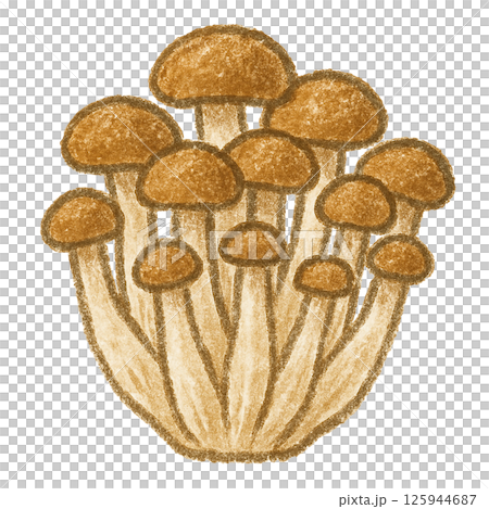 しめじのイラスト｜クレヨン風デザイン 125944687