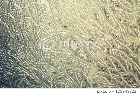 窓ガラスにできた霜の花 窓ガラスにできた霜の花 125945222