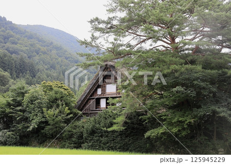白川郷 荻町集落の合掌造り (岐阜) 白川郷 荻町集落の合掌造り (岐阜) 125945229