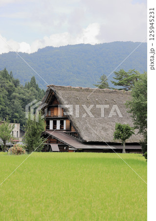 白川郷 荻町集落の合掌造り (岐阜) 125945231