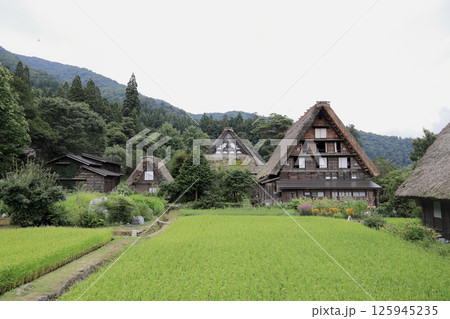 白川郷 荻町集落の合掌造り (岐阜) 白川郷 荻町集落の合掌造り (岐阜) 125945235