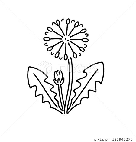 シンプルな花のイラスト 125945270