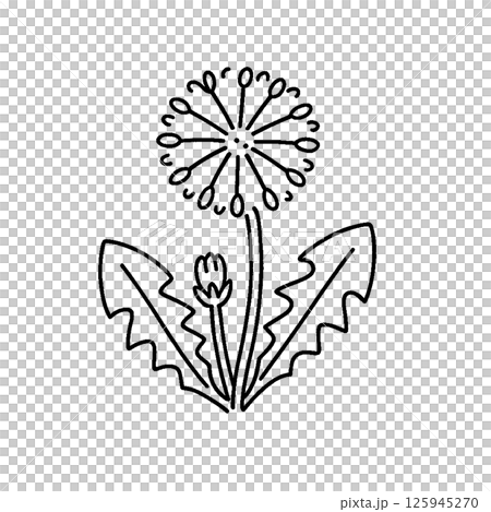 シンプルな花のイラスト 125945270