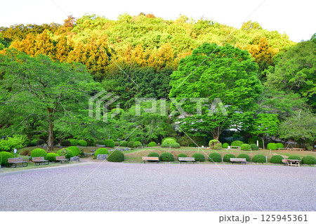 和紙の里　道の駅　緑の庭園　東秩父村 125945361