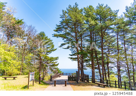 「岩手県」北山崎第一展望台の風景 田野畑村 「岩手県」北山崎第一展望台の風景 田野畑村 125945488