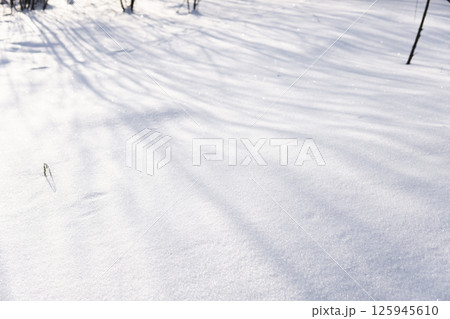 Shadows of bare tree branches falling across fresh untouched snow surface in winter sunlight 125945610