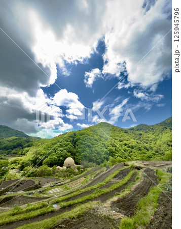 青空と広がる棚田 125945796