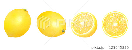 新鮮なレモンの手描きイラストセット_水彩_丸ごとと輪切りレモン_柑橘の果物 新鮮なレモンの手描きイラストセット_水彩_丸ごとと輪切りレモン_柑橘の果物 125945830