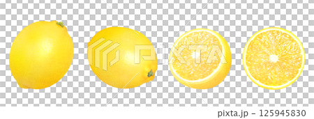 新鮮なレモンの手描きイラストセット_水彩_丸ごとと輪切りレモン_柑橘の果物 新鮮なレモンの手描きイラストセット_水彩_丸ごとと輪切りレモン_柑橘の果物 125945830