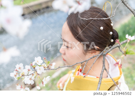満開の桜の下振袖を着た成人女性 125946502