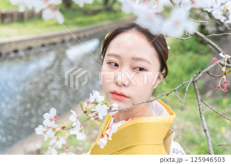 満開の桜の下振袖を着た成人女性 125946503