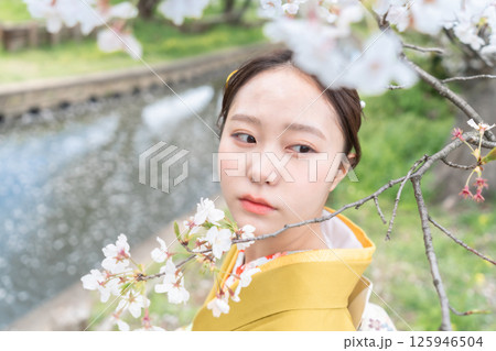 満開の桜の下振袖を着た成人女性 125946504