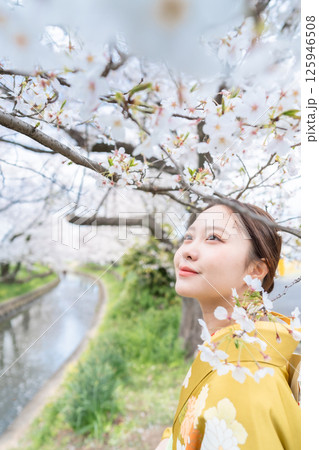 満開の桜の下振袖を着た成人女性 125946508