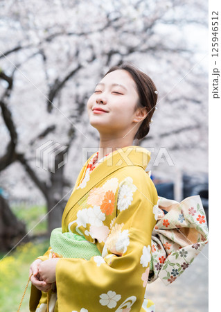 満開の桜の下振袖を着た成人女性 満開の桜の下振袖を着た成人女性 125946512