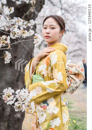 満開の桜の下振袖を着た成人女性 125946519