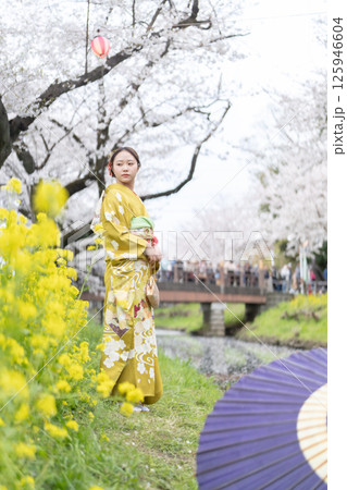 川越新河岸川で着物姿で花見をする成人女性 川越新河岸川で着物姿で花見をする成人女性 125946604