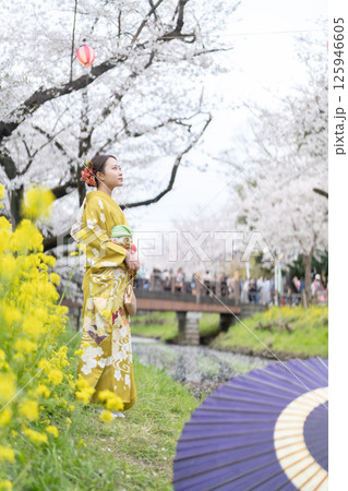 川越新河岸川で着物姿で花見をする成人女性 川越新河岸川で着物姿で花見をする成人女性 125946605
