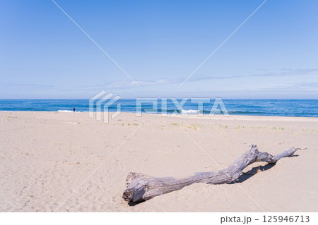 「青森県」春の種差海岸をドローンで空撮　八戸市 125946713