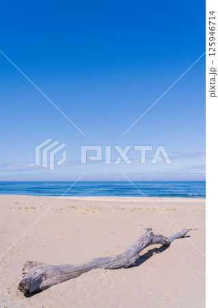 「青森県」春の種差海岸をドローンで空撮 八戸市 「青森県」春の種差海岸をドローンで空撮 八戸市 125946714