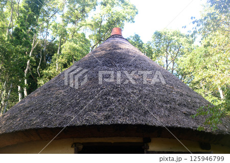 四国村明治時代初期の砂糖しめ小屋-4 125946799