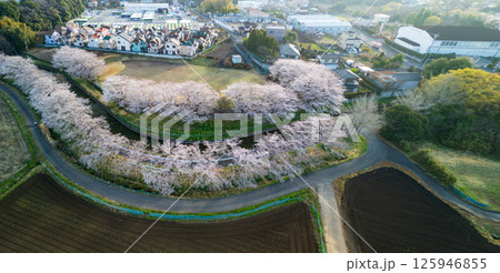 空撮「埼玉県」見沼田んぼの桜並木 さいたま市 空撮「埼玉県」見沼田んぼの桜並木 さいたま市 125946855