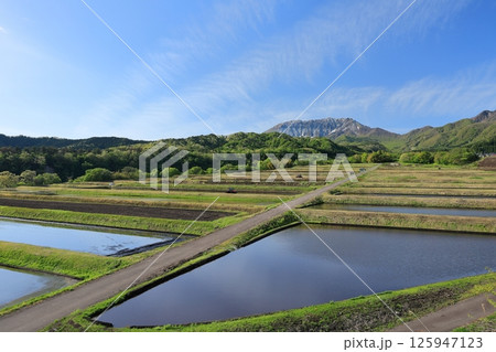 5月の御机の棚田 1 5月の御机の棚田 1 125947123
