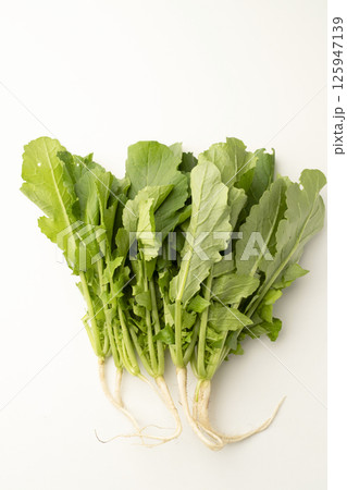 葉大根 125947139