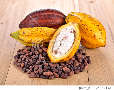 カカオの実　カカオ豆 125947158