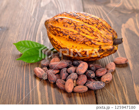 カカオの実　カカオ豆 125947180