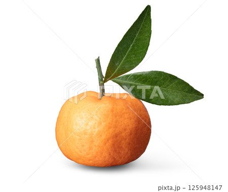 だいだい だいだい 125948147