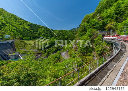 渓谷をゆっくりと走る日本で唯一のアプト式列車 井川線 絶景 車窓 渓谷をゆっくりと走る日本で唯一のアプト式列車 井川線 絶景 車窓 125948183
